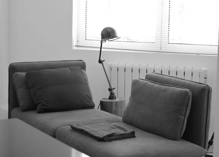 Appartement Loft Industrial Con Cine Y Diseno *