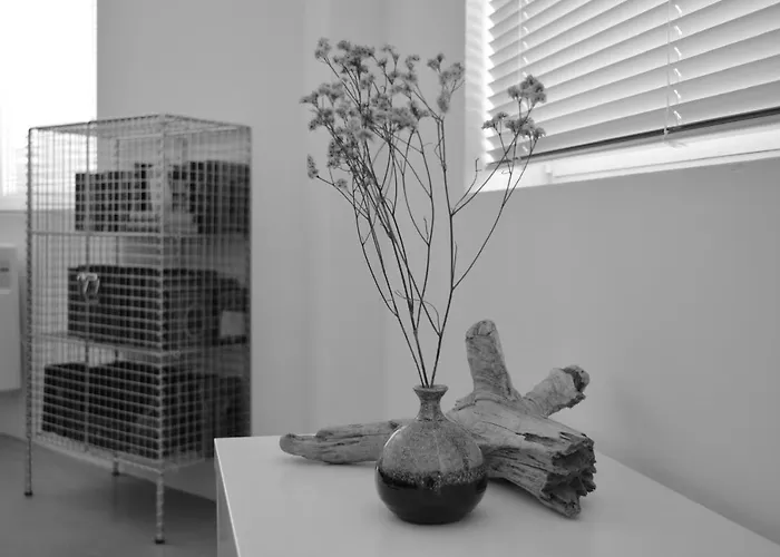 Appartement Loft Industrial Con Cine Y Diseno